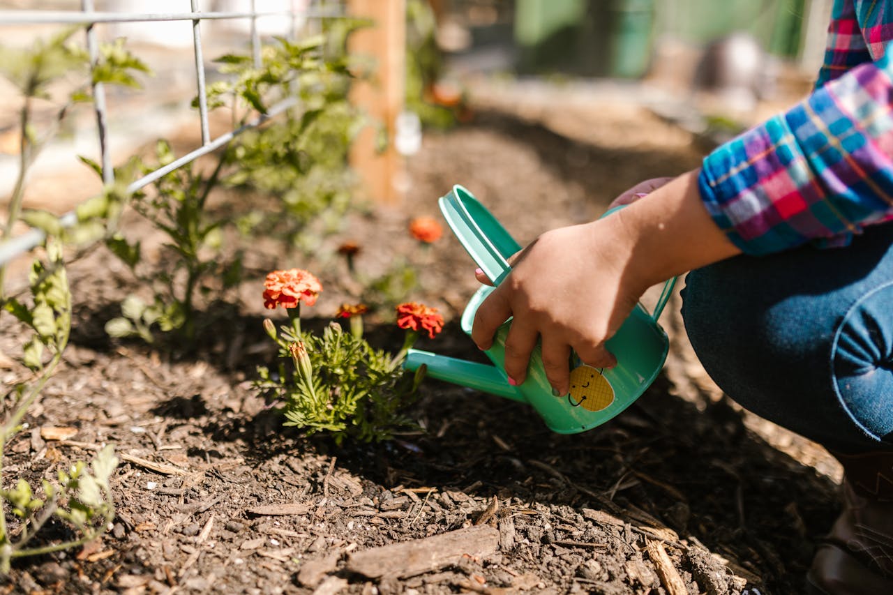 about-01 Close-up of gardener watering flowers with a green watering can in a sunny garden.
